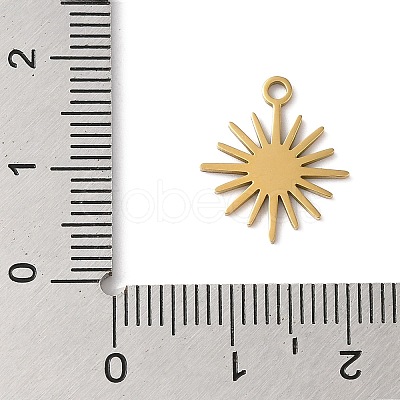 304 Stainless Steel Charms STAS-S123-01G-04-1