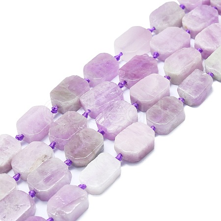 Natural Kunzite Beads Strands G-K245-J06-01-1