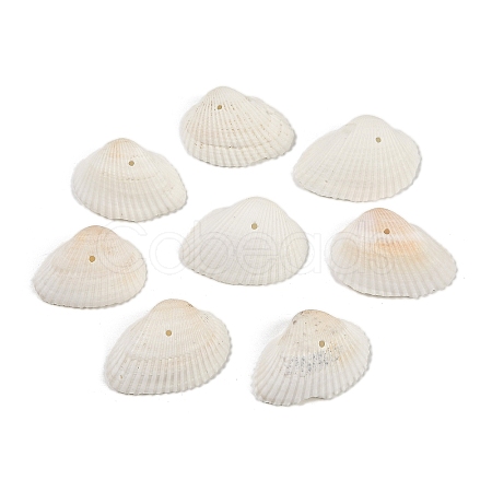 Natural Shell Beads SHEL-K009-15-1