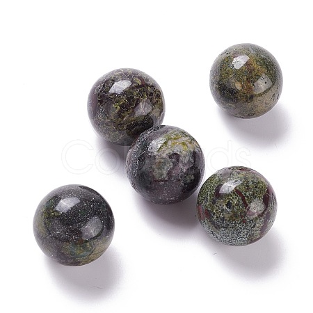 Natural Dragon Bloodstone Beads G-D456-07-1