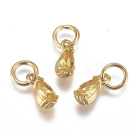 Brass Micro Pave Cubic Zirconia Charms ZIRC-F111-04G-01-1