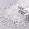 12/0 Glass Seed Beads X1-SEED-A007-2mm-161-1
