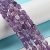 Natural Lepidolite/Purple Mica Stone Beads Strands G-M420-H12-03-2