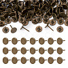 100Pcs Iron Sofa Flat-Head Nail IFIN-TA0001-81-1