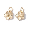 Rack Plating Alloy Charms X-FIND-G036-02LG-1