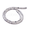 Natural Howlite Beads Strands G-H230-38-2