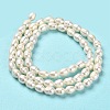 Natural Cultured Freshwater Pearl Beads Strands PEAR-E016-170-3