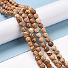 Natural Picture Jasper Beads Strands G-E571-28A-2