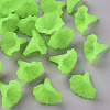 Transparent Acrylic Beads BSF796-C18-1