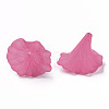 Transparent Acrylic Beads X-BSF796-C16-2