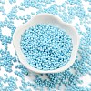 Baking Paint Glass Seed Beads SEED-A033-05P-2