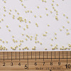 12/0 FGB Grade A Round Glass Seed Beads SEED-N001-A-1033-3