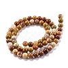 Natural Petrified Wood Beads Strands G-O199-06A-2
