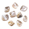 Freshwater Shell Beads SSHEL-T005-11-2