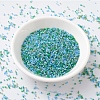 MIYUKI Delica Beads SEED-JP0008-DB2067-2