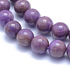 Natural Lepidolite/Purple Mica Stone Beads Strands G-L552H-09D-2