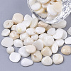 Sea Shell Beads SSHEL-S258-71-3