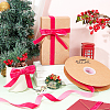 Single Face Velvet Ribbons OCOR-WH0080-14D-01-6