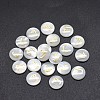 Shell Cabochons SSHEL-E568-A07-2