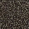 MIYUKI Round Rocailles Beads SEED-G007-RR1431-3