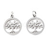 Non-Tarnish 304 Stainless Steel Pendants STAS-T046-JA350-1-2