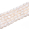 Natural Cultured Freshwater Pearl Beads Strands PEAR-N012-02N-5