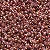 TOHO 6/0 Round Beads SEED-TR06-1201-3