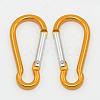 Aluminum Carabiners LS-EA026-09-1