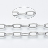 Non-Tarnish 3.28 Feet 304 Stainless Steel Paperclip Chains X-CHS-S001-06A-P-2