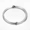 Round Aluminum Craft Wire X-AW-D009-2mm-5m-01-1