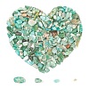 Natural Amazonite Chip Beads G-FS0001-16-1