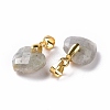 Natural Labradorite Pendants G-C023-07K-3