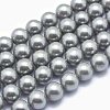 Shell Pearl Beads Strands X-BSHE-L026-05-8mm-2