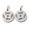 Non-Tarnish 304 Stainless Steel Charms STAS-D050-07P-13-2