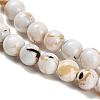 Assembled Synthetic Stone and Trochus Shell Beads Strands G-B128-08B-01-3