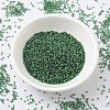 MIYUKI Delica Beads SEED-J020-DB0605-2