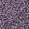 MIYUKI Round Rocailles Beads SEED-JP0008-RR1012-3