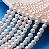 Natural Cultured Freshwater Pearl Beads Strands PEAR-E009-6-6.5mm-1