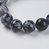 Natural Snowflake Obsidian Beads Strands G-G515-10mm-01-3
