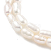 Natural Cultured Freshwater Pearl Beads Strands PEAR-P062-02C-4