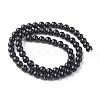 Natural Biotite Beads Strands G-L528-06D-3