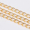 Iron Side Twisted Chain CH-S085-G-LF-1