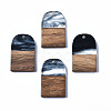 Transparent Resin & Walnut Wood Pendants RESI-T035-32D-1