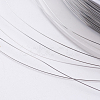 Steel Wire TWIR-E001-0.2mm-3
