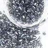 FGB Grade A Glass Seed Beads SEED-S022-03S-1
