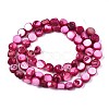 Natural Freshwater Shell Beads Strands SHEL-S276-110A-05-2
