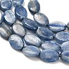 Natural Kyanite Beads Strands G-H335-D01-8x12mm-4