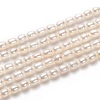 Natural Cultured Freshwater Pearl Beads Strands PEAR-J005-59-1