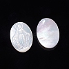 Natural White Shell Cabochons SSHEL-D083-14-2