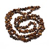 Natural Tiger Eye Chip Bead Strands G-M205-03-2